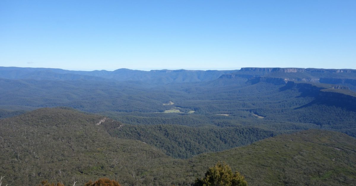 Australian Hiker Pigeon House Mountain (5.6 km)