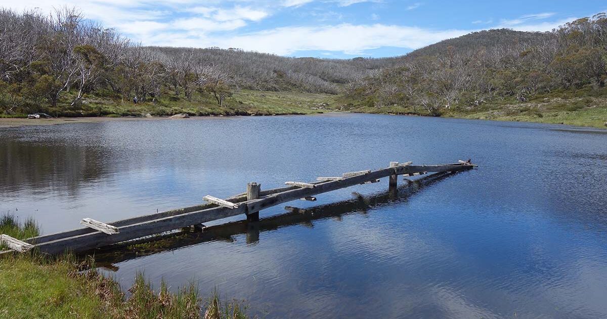 Australian Hiker Rainbow Lake Walk NSW (2.7km)