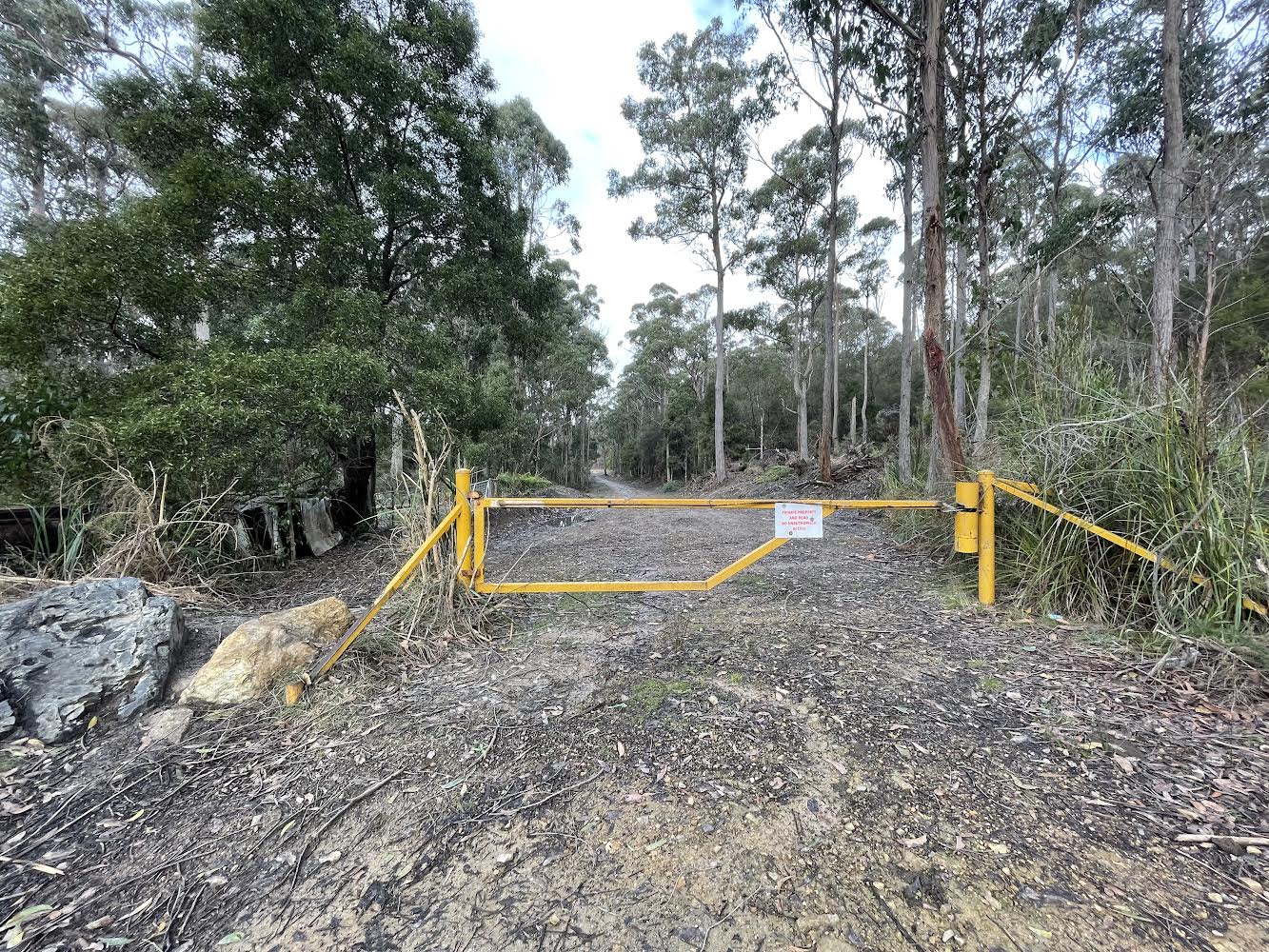 Access gate one a eucalyptus plantation