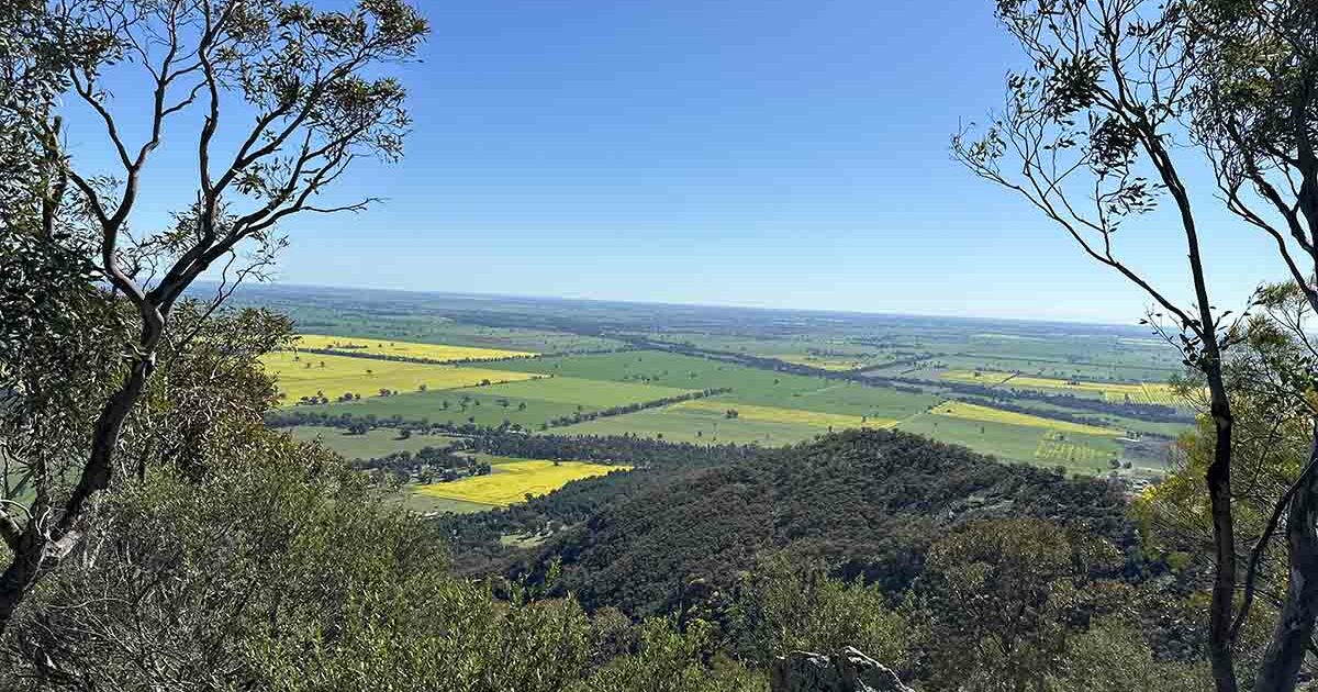 Australian Hiker Yerong Walking Track NSW (6.0km)